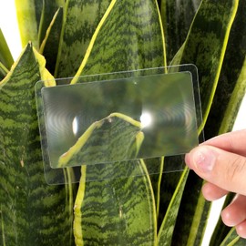 Molain 3X Pocket Magnifier- 5Pcs Portable Fresnel Lens Credit Card Magnifier Wallet Magnifying Lenses Jewelry Loupe Reading Aid Helper