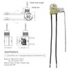 Aginkgo Ceiling Fan Pull Chain Switch Zing Ear ZE-109 3A/250VAC