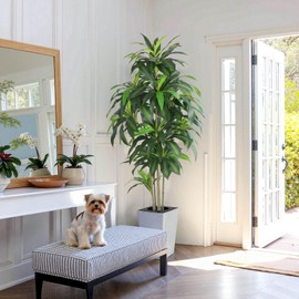 Artificial Dracaena Tree with White Tall Planter, 7ft Tall Potted Artificial Dracaena Silk Plant, Fake Yucca Tree Plant, Home Office Floor Room Decor Plants Indoor Outdoor, Housewarming Gift