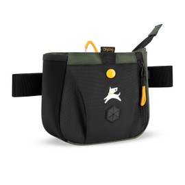 OllyDog Backcountry Day Bag | Hands-Free Dog Training Treat Pouch | Fanny/Hip Pack with Zipper Closure & Built-in Poop Bag Dispenser | Removable Waist Clip (Winter Moss)
