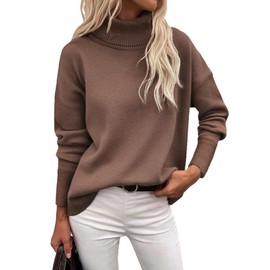 Zeagoo Women's Sweaters Casual Knitted Jumpers Elegant Turtle Neck Sweater Roll Neck Ladies Long Sleeve Tops Autumn Winter Brown M