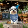 arricraft 1 Pc Birthday Theme Dog Bandana, 78x39cm(30.7x15.35 inch) It's