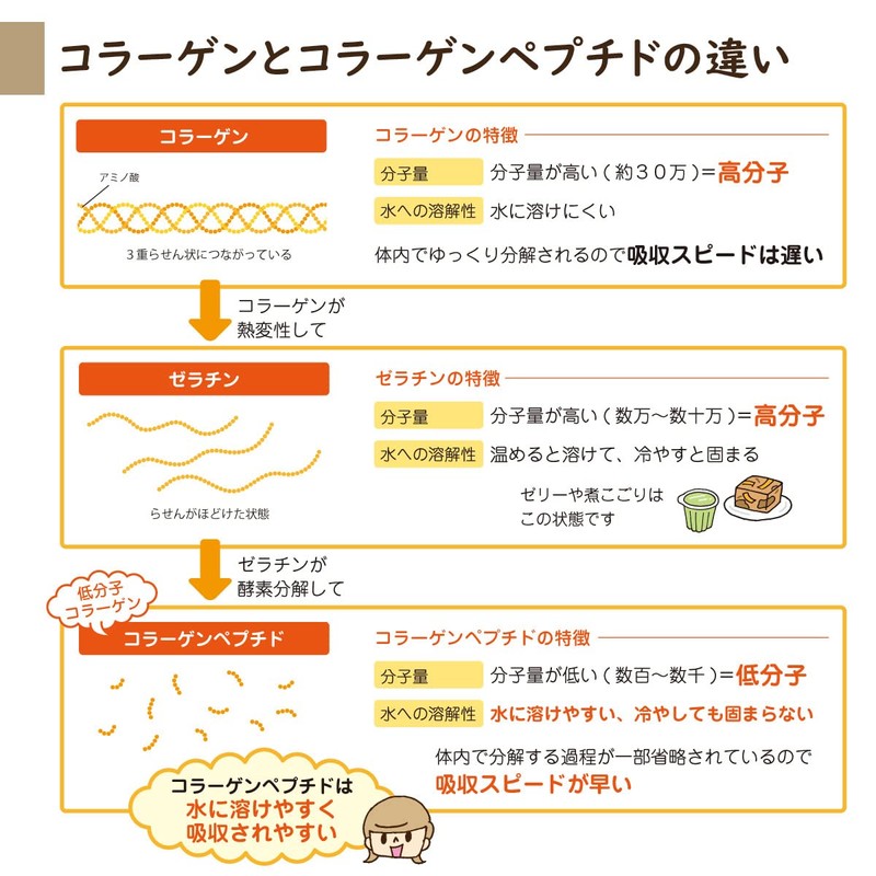 夢みるコラーゲン サプリメント 犬用 粉末 100g 国産 無添加 添加物不使用 保存料不使用 コラーゲンパウダー