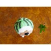 Sinada Nagio Strap Watermelon
