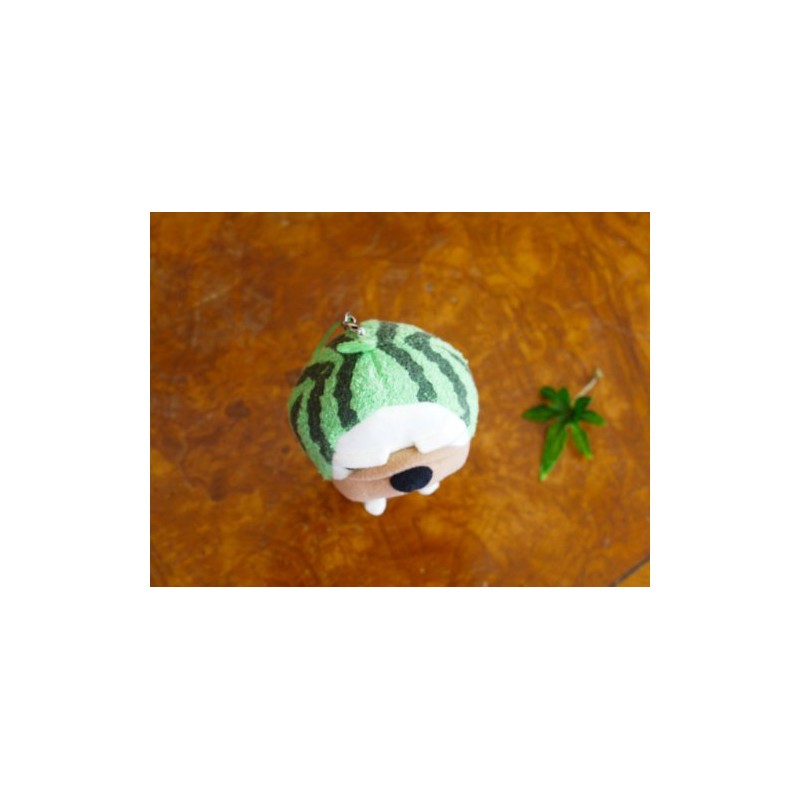 Sinada Nagio Strap Watermelon