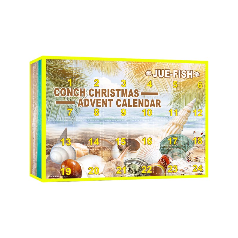 Christmas Countdown Advent Calendar 24 Pcs Shell Toys 2022 Conch