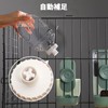 Automatic Feeder, Dogs, Cats, Small Animals, Automatic Water Supply, Set