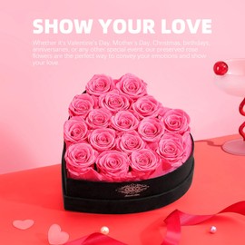 Agrul Roses Gifts for Her,Forever Preserved Flowers Roses in a Heart Shape Box,Anniversary Birthday Gifts for Wife Women Mom Best Friend Girlfriend/16Pcs Pink Roses