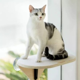 Mewoofun Wood Cat Window Perch Hammock with Climbing Steps 3 Pcs Cat Climber Set - Cat Perch