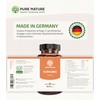 High Dose Turmeric Complex I 1 Capsule/Day I 12,000 mg
