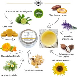 100% Naturally Soothing Skin Balm - SHEA + COCOA BUTTER & BEESWAX - 50ml by BEES of BRITAIN Moisturizes Sensitive Skin We Donate 5% of Our Profits to Save Bees and Pollinators