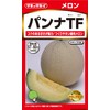 Takii Seedlings Melon Panna TF