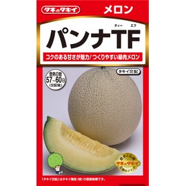 Takii Seedlings Melon Panna TF