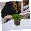 CAXUSD 6pcs Transparent Orchid Pots with Drainage Holes Clear Nursery