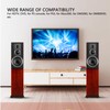 5.1 Channel Digital Sound Decoder HD Multimedia Interface ARC Bluetooth