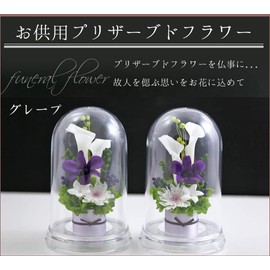 Art Four Seasons ● 2 Color vs. Design SET Grape Preserved Flower