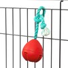 Fossa Interactive Dog Toys, Crate Training Aids for Puppies, Puzzle