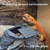 X-Large Bearded Dragon Basking Platform, Lizard, Snake or Reptile Hide