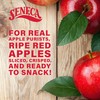 Seneca Original Apple Chips | Made from Fresh 100% Red