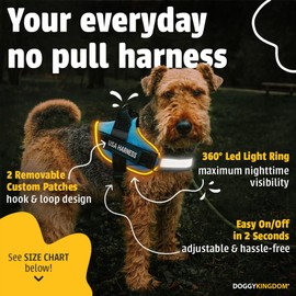 DOGGYKINGDOM Light Up Dog Harness, Custom No Pull LED Dog Harness Glow-in-The-Dark for Night Walking, USB Rechargeable, Reflective Lighted Safety Vest for Medium Large Dogs, Adjustable, Blue, M