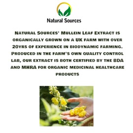 Natural Sources Mullein Drops, Mullein Leaf Extract Drops 50ml- UK Grown & Produced - Mullein Leaf Liquid Drops - Highest Concentrate Mullein Tincture- GMDP Certified/BDA Org Cert./Non GMO-for Respiratory Support