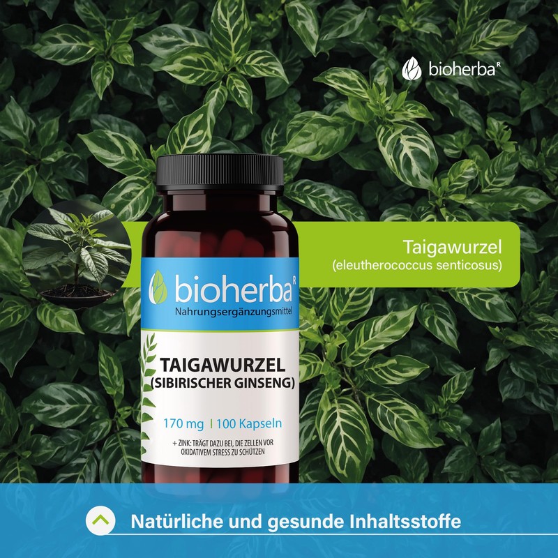 Bioherba Siberian Ginseng 420mg 100 Capsules