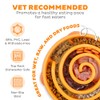 Outward Hound Divertido comedero para Perros con alimentación Lenta para