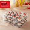 Stock Your Home Mini Disposable Plastic Cupcake Containers (40 Pack)