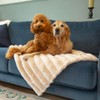 Scruffs Aspen Dog/Pet Blanket