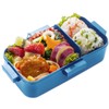 Skater PFLB6AG-A Lunch Box, Ocean Blue, 18.9 fl oz (530