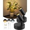 GOODEA Spotlights Indoor with Remote, 3000mAh Rechargeable Battery Plant Spotlight