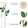 10 Rosas Artificiales de Seda Blanca, Tallo Largo para Hacer