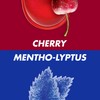 HALLS Relief Variety Pack, Cherry and Mentho-Lyptus Cough Drops, 2