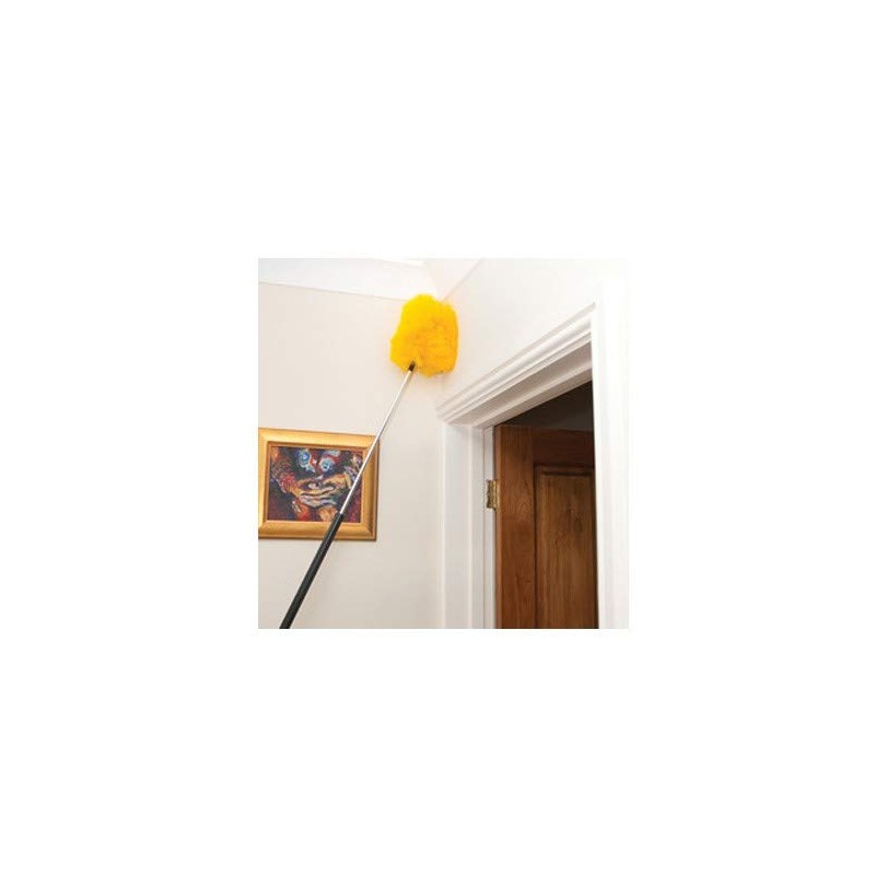 Supreme extending duster - Neat Ideas - Get's to those