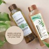 ANYELUZ Set De Champú Y Acondicionador De Romero - Con