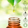 Lavanda Bio Olio essenziale 100% Puro 30 ml - Uso