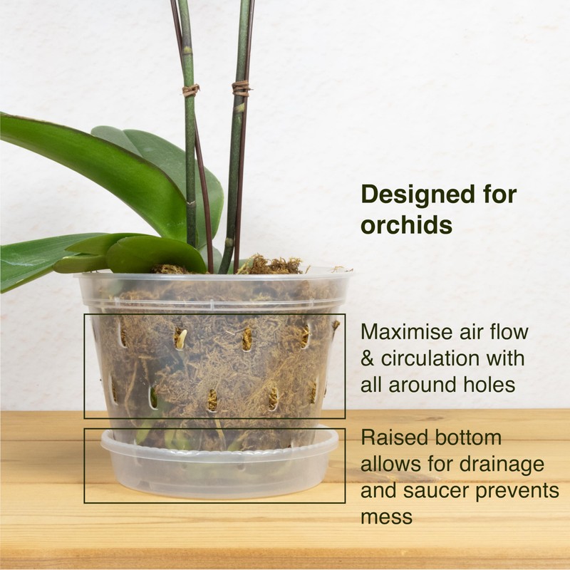 Greenology 16cm / 6" Pack of 5 Orchid Flower Pots