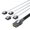 ipolex Mini SAS 36Pin (SFF-8087) Male to 4 SATA 7Pin