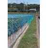 Dio Kasei Strong Bird Prevention Net, 1000D, 1.2 inches (30