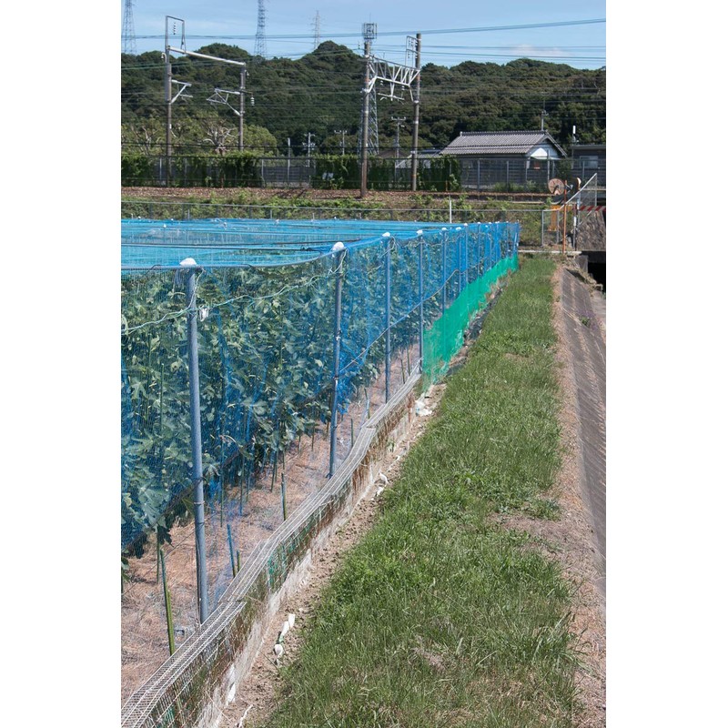 Dio Kasei Strong Bird Prevention Net, 1000D, 1.2 inches (30