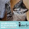 Sofisti-Cat Training Tape, Cat Tape for Furniture, Scratch Deterrent Keep