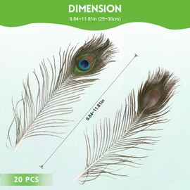 Pack of 20 Natural Peacock Feathers 25-30 cm Beautiful Eye Feathers for Hats DIY Craft Head Decorations Peacock Decoration
