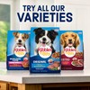 Kibbles 'n Bits Bistro Dry Dog Food, Oven Roasted Beef,