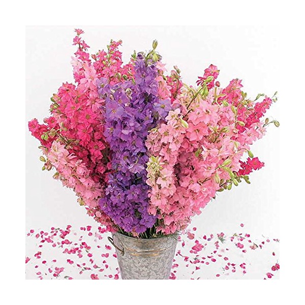 Park Seed Lovers' Mix Organic Larkspur Seeds