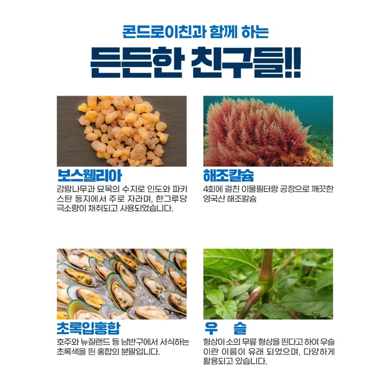 Alpha Shark Chondroitin Efficacy Chondrotin Approximately 3 months / 알파