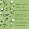 Té Matcha México verde en polvo Matcha 250 g
