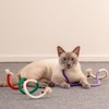 CWPFVQA 3-Piece Cat Toy, Interactive Cat Toy, Chew Toy, Pet