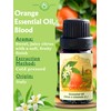 Orange Essential Oil, Blood – 100% Pure, Cold Pressed –
