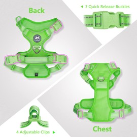 PoyPet No Pull Dog Harness, No Choke Reflective Dog Vest, Adjustable Pet Harnesses with 2 Leash Attachments with Easy Control Padded Handle for Small Medium Large Dogs(Green Matching Trim,XL)