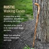 Brazos Rustic Wood Walking Cane, Hardwood, Knob Root Style Handle,